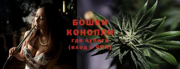 МДПВ Богородицк
