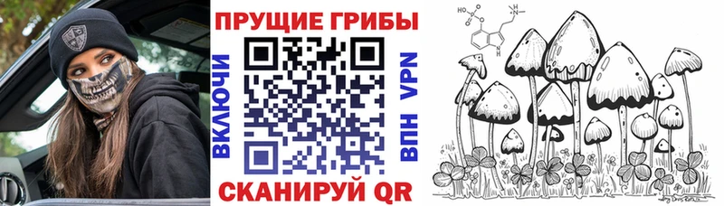 ссылка на мегу ONION Пермь Псилоцибиновые грибы GOLDEN TEACHER